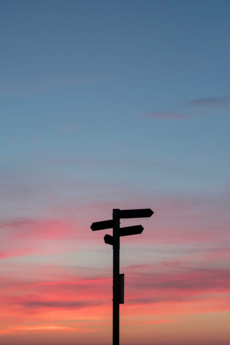 Silhouette of a multi-directional signpost against a pink and blue sunset sky, representing career change decisions.