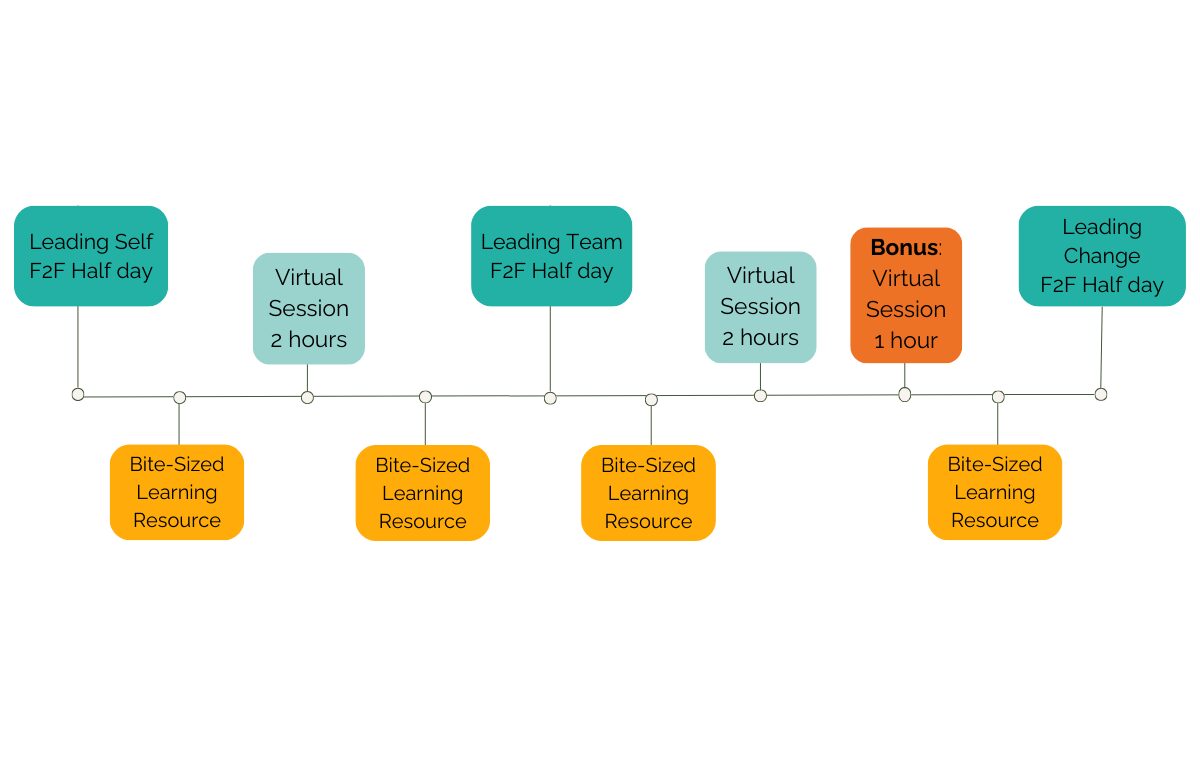 StepAdvantage Foundations 2025 cohort roadmap showing Leading Self, Team and Change half-days plus virtual sessions and bonus content.